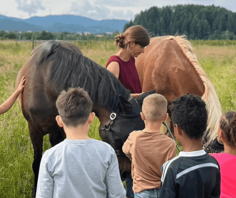 pferdegesützte Angebote